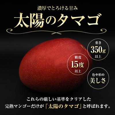 ふるさと納税 宮崎県 <2027年発送>『太陽のタマゴ』 宮崎 完熟マンゴー 2L×2玉(1玉350〜459g) 宮崎県産 |  | 01