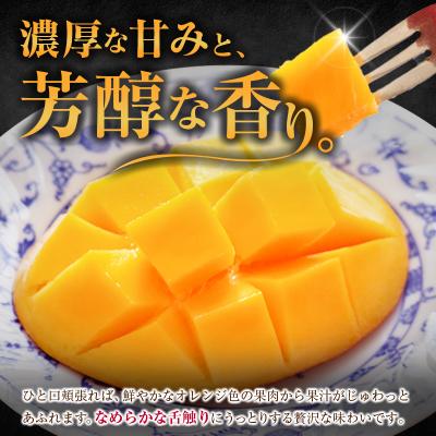 ふるさと納税 宮崎県 <2027年発送>『太陽のタマゴ』 宮崎 完熟マンゴー 2L×2玉(1玉350〜459g) 宮崎県産 |  | 02