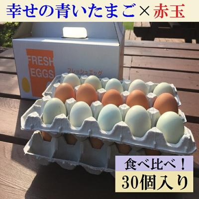 ふるさと納税 古河市 江原ファーム 地養卵&amp;アローカナハーフセット 計30個 割れ補償 | 卵 30個 _AG07