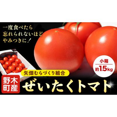 ふるさと納税 野木町 ぜいたくトマト 約1.5kg 矢畑むらづくり組合 [10月上旬-2026年5月末頃出荷予定]
