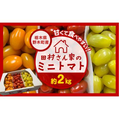 ふるさと納税 野木町 田村さん家のミニトマト約2kg[11月上旬-2026年7月下旬出荷予定]ミニトマト 野木町