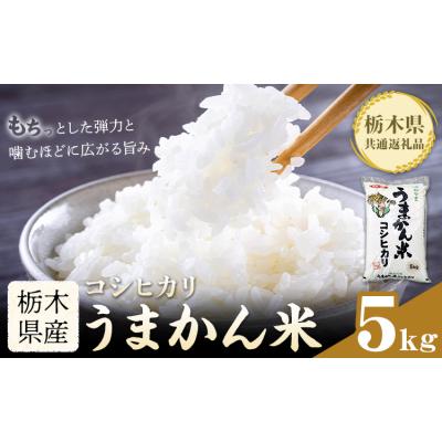 ふるさと納税 野木町 令和7年産 米 お米 コシヒカリ うまかん米 5kg [30日以内に出荷予定(土日祝除く)]