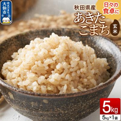 ふるさと納税 大仙市 米 あきたこまち[玄米]5kg(5kg×1袋)令和7年産 秋田県産|22_sef-010501