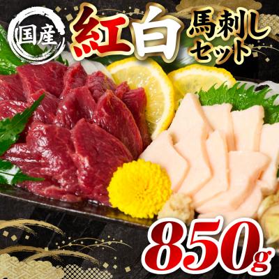 ふるさと納税 八代市 国産 熊本肥育 紅白馬刺しセット 合計850g (赤身700g・コウネ150g)_298-6818 | 
