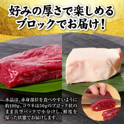 ふるさと納税 八代市 国産 熊本肥育 紅白馬刺しセット 合計850g (赤身700g・コウネ150g)_298-6818 |  | 02