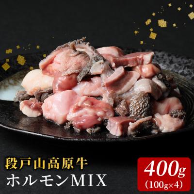 ふるさと納税 設楽町 国産牛 段戸山高原牛 ホルモンミックス 400g (100g×4パック) もつ鍋 焼肉用 BBQ