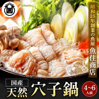 ふるさと納税 宗像市 [鐘崎産天然穴子]国産天然穴子鍋セット(4〜6人前) [魚住商店]