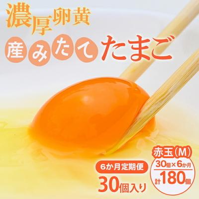 ふるさと納税 古河市 [6ヶ月定期便]小久保ファーム 濃厚卵黄 産みたてたまご 赤玉30個入り(M玉) _EI06