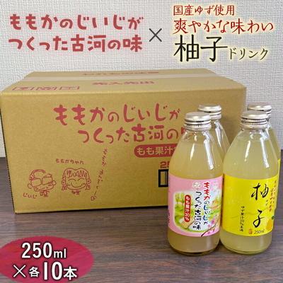 ふるさと納税 古河市 ももかのじいじがつくった古河の味×国産ゆず使用柚子ドリンク 250ml×各10本入 _EG03