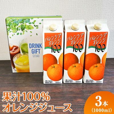 ふるさと納税 古河市 果汁100%オレンジジュース 1000mlパック×3本入 | ジュース オレンジ _EG06