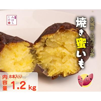 ふるさと納税 古河市 [スイーツのような甘さ]焼き蜜いも(1.2kg) | スイーツ 芋 いも イモ やきいも _DP12