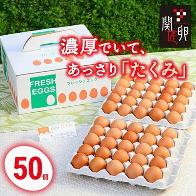 ふるさと納税 古河市 関匠卵 たくみ50個 | 卵 50個 赤玉 玉子 たまご タマゴ 生卵 鶏卵 生みたて _CP03