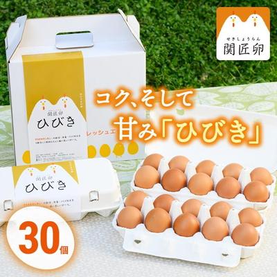 ふるさと納税 古河市 関匠卵 ひびき30個 | 卵 30個 赤玉 玉子 たまご タマゴ 生卵 鶏卵 生みたて _CP01