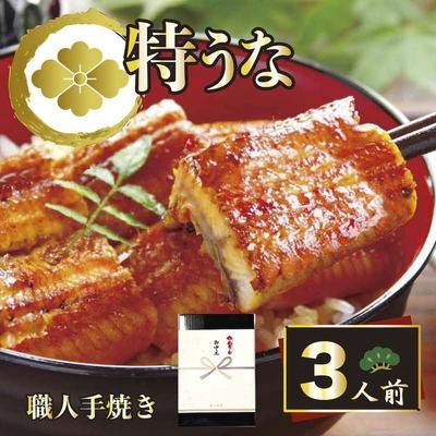 ふるさと納税 古河市 うなぎ蒲焼3人前(1人前約100g×3)贈答用パッケージ | うなぎ 鰻 _AT17