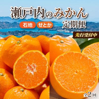 ふるさと納税 三原市 [数量限定☆先行受付]柑橘食べ比べ定期便(石地みかん・せとか) 各2.5kg [T10]