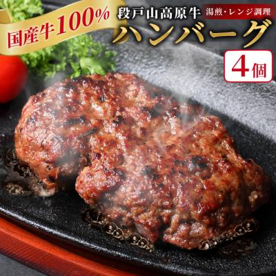 ふるさと納税 設楽町 国産 牛肉 100% 段戸山高原牛 ハンバーグ 4個(100g×4) 加熱済み タレ無し