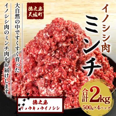 ふるさと納税 天城町 徳之島 天城町 イノシシ ミンチ 2kg 500g×4パック 猪肉 ジビエ