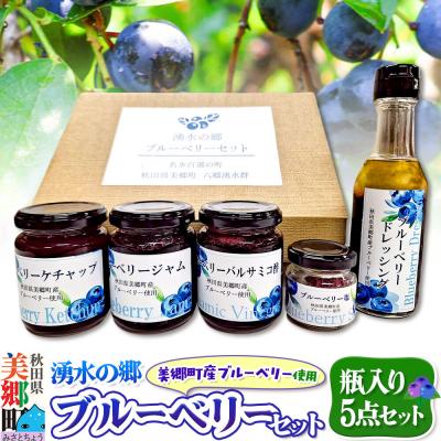 ふるさと納税 美郷町 湧水の郷ブルーベリーセット 5点|01_mfd-010101