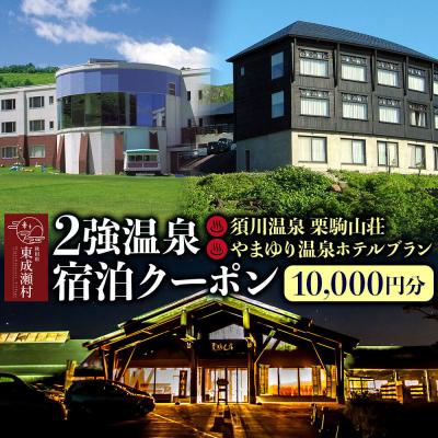 ふるさと納税 東成瀬村 2強温泉宿泊クーポン 10000円分 [栗駒山荘][やまゆり温泉]|07_akr-040401