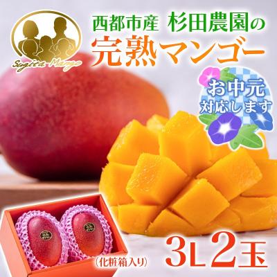 ふるさと納税 西都市 [お中元ギフト]杉田農園完熟マンゴー 2玉 900g~1kg 化粧箱入 宮崎県西都市[2894]
