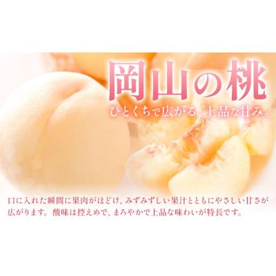 ふるさと納税 笠岡市 [定期便]フルーツ Bコース 2回定期便 桃 マスカット ピオーネ 梨[7月上旬-10月末頃出荷]