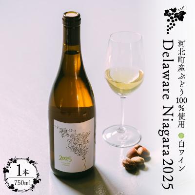 ふるさと納税 河北町 [河北町産ぶどう100%使用]Delaware Niagara2025(750ml×1本)