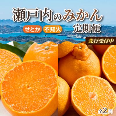 ふるさと納税 三原市 [数量限定☆先行受付]柑橘食べ比べ定期便 せとか 2.5kg・不知火 2kg [T11]