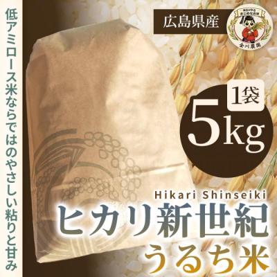 ふるさと納税 三原市 ヒカリ新世紀(うるち米)5kg [238-007]
