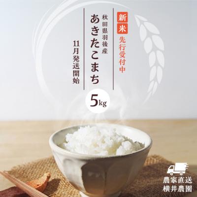 ふるさと納税 羽後町 秋田県羽後町産あきたこまち
