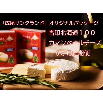 ふるさと納税 広尾町 サンタランドのまち広尾町から限定パッケージでお届け カマンベールチーズ6個×6か月定期便 偶数月発送