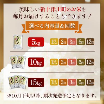 ふるさと納税 新十津川町 【令和8年度産】ふっくりんこ精米定期便 (10kg×3回)【11044】_3
