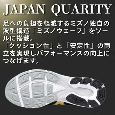 ふるさと納税 宍粟市 ミズノ ランニングシューズ【ブラック×ゴールド×オレンジ 2E】AO81の画像