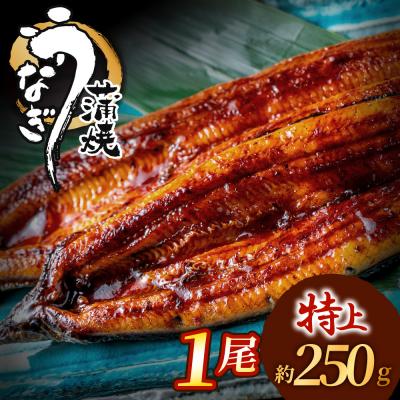 ふるさと納税 新宮町 うなぎ蒲焼き1尾セット(約250g×1尾).A1684
