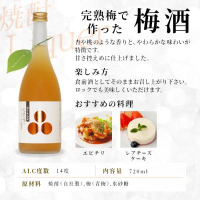 ふるさと納税 設楽町 完熟梅でつくった梅酒 瓶 720ml 14% 関谷醸造 蓬莱泉 お酒 焼酎 リキュール |  | 01