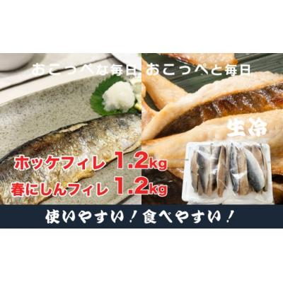 ふるさと納税 興部町 ホッケフィレ1.2kg &amp; 春にしんフィレ1.2kg[20043]