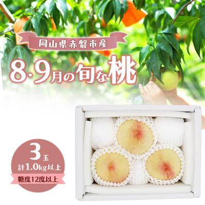 ふるさと納税 赤磐市 桃 2026年 岡山の白桃 『8・9月の旬な桃』 3玉 計1.0kg以上[NO5765-1499]