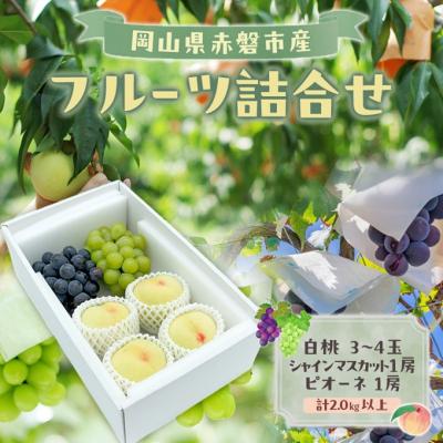 ふるさと納税 赤磐市 桃 ぶどう 2026年 白桃 シャインマスカット ピオーネ 詰合せ[NO5765-1508]