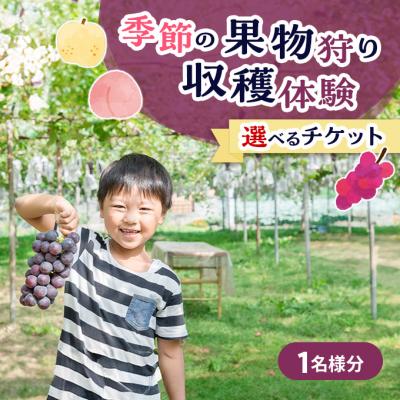 ふるさと納税 赤磐市 フルーツ 季節の果物狩り 収穫体験 選べる チケット 1名様分[NO5765-1532]