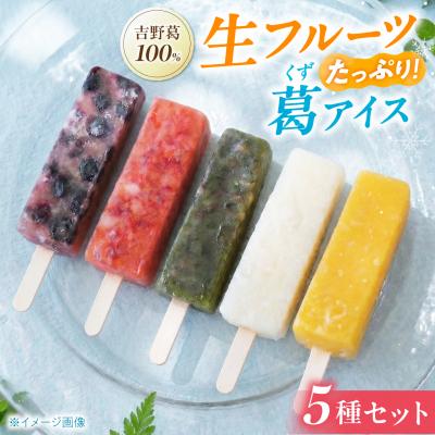 ふるさと納税 吉野町 吉野葛アイスバー 5本入り