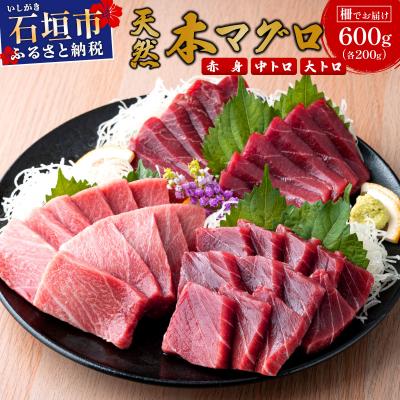 ふるさと納税 石垣市 [数量限定]石垣島産 天然本マグロ 600g (まぐろ赤身・中トロ・大トロのミックスセット)