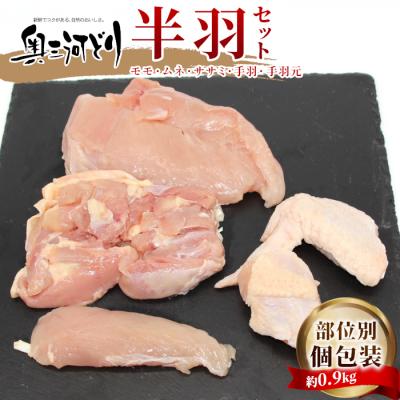 ふるさと納税 設楽町 国産 奥三河どり 半羽 小分け 約 0.9kg 鶏肉セット チキン BBQ アウトドア
