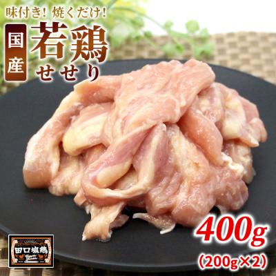ふるさと納税 設楽町 田口塩鶏 国産 味付け せせり塩だれ 400g 味付け肉 鶏肉 BBQ 焼くだけ