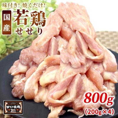 ふるさと納税 設楽町 田口塩鶏 国産 味付け せせり 塩だれ 800g 鶏肉 キャンプ BBQ 焼くだけ