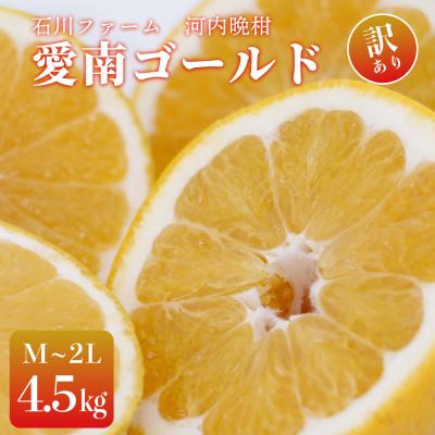 ふるさと納税 愛南町 訳あり 愛南ゴールド(河内晩柑) 4.5kg 7000円 サイズ(M〜2L) 石川ファーム