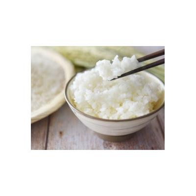 ふるさと納税 安田町 新米予約 5kg[令和8年産]高知県安田町産