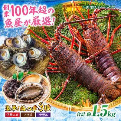 ふるさと納税 大洲市 豪華天然魚介3種セット!(イセエビ約300g・アワビ約200g・サザエ約1kg) [AGBP005]