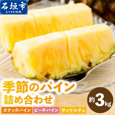 ふるさと納税 石垣市 まーぼーの季節のパイン詰め合わせ 約3kg <2026年4月〜5月順次発送>