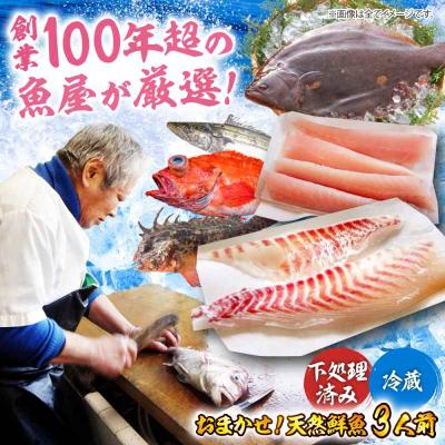 ふるさと納税 大洲市 [下処理済み・冷蔵] おまかせ!天然鮮魚3人前 [AGBP008]