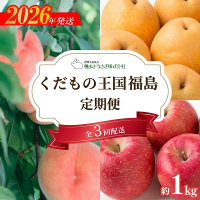 ふるさと納税 福島市 くだもの王国 福島定期便 全3回 もも 梨 りんご 各約1kg[2026年発送]No.3317