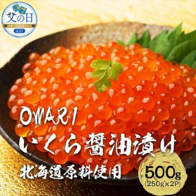 ふるさと納税 名古屋市 [父の日]いくら 醤油漬け 500g(250g×2P)